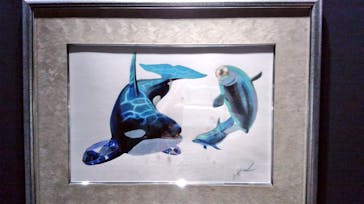 特別展「宝石　地球がうみだすキセキ」（名古屋市科学館　理工館地下２階イベントホール）に投稿された画像（2022/10/12）