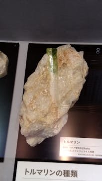 特別展「宝石　地球がうみだすキセキ」（名古屋市科学館　理工館地下２階イベントホール）に投稿された画像（2022/10/12）