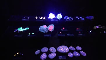 特別展「宝石　地球がうみだすキセキ」（名古屋市科学館　理工館地下２階イベントホール）に投稿された画像（2022/10/12）