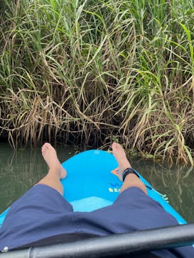 比謝川カヤックに投稿された画像（2022/10/13）