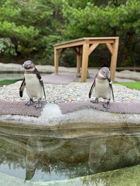 那須どうぶつ王国に投稿された画像（2022/10/13）