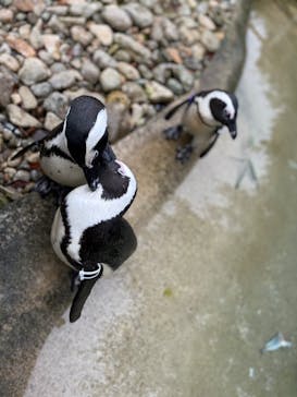 那須どうぶつ王国に投稿された画像（2022/10/13）