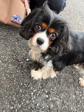 那須どうぶつ王国に投稿された画像（2022/10/13）