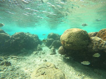 沖縄マリンサービス碧に投稿された画像（2022/10/13）