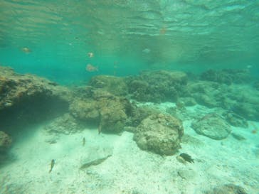 沖縄マリンサービス碧に投稿された画像（2022/10/13）