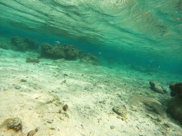 沖縄マリンサービス碧に投稿された画像（2022/10/13）