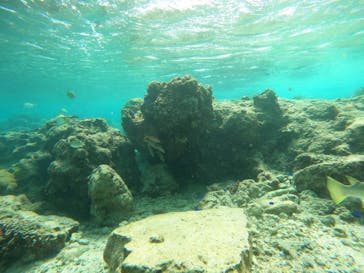 沖縄マリンサービス碧に投稿された画像（2022/10/13）