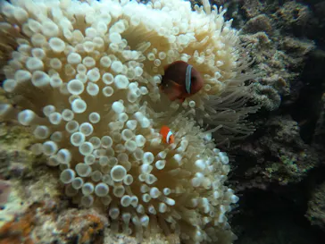 武藤潜水に投稿された画像（2022/10/13）