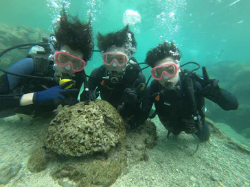 武藤潜水に投稿された画像（2022/10/13）