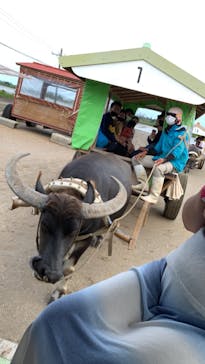 西表島 ADVENTURE PiPi（アドベンチャーピピ）に投稿された画像（2022/10/13）