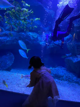 すみだ水族館に投稿された画像（2022/10/13）