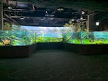 カワスイ 川崎⽔族館に投稿された画像（2022/10/13）