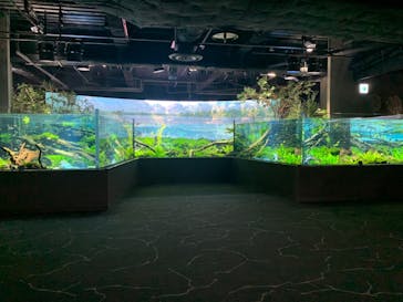 カワスイ 川崎⽔族館に投稿された画像（2022/10/13）