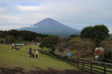 まかいの牧場に投稿された画像（2022/10/13）