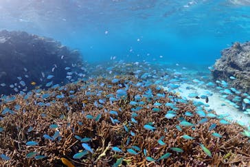 宮古島マリン SUGAR3（シュガースリー）に投稿された画像（2022/10/13）