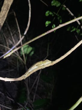 宮古島マリン SUGAR3（シュガースリー）に投稿された画像（2022/10/13）