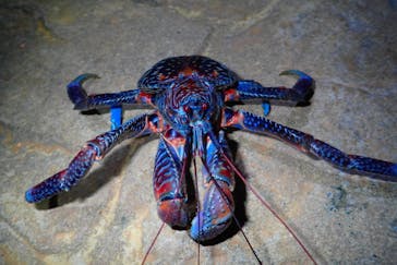 宮古島マリン SUGAR3（シュガースリー）に投稿された画像（2022/10/13）