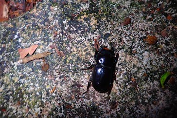 宮古島マリン SUGAR3（シュガースリー）に投稿された画像（2022/10/13）