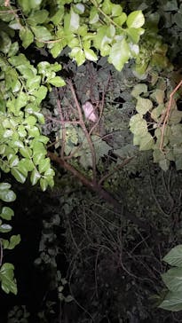 宮古島マリン SUGAR3（シュガースリー）に投稿された画像（2022/10/13）