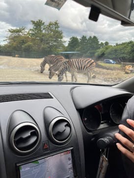 那須サファリパークに投稿された画像（2022/10/14）