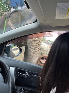 那須サファリパークに投稿された画像（2022/10/14）