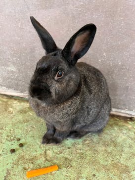 那須サファリパークに投稿された画像（2022/10/14）