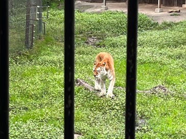 那須サファリパークに投稿された画像（2022/10/14）