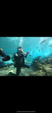 武藤潜水に投稿された画像（2022/10/14）