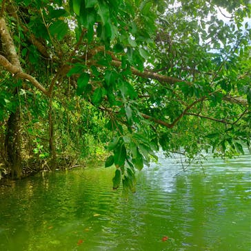 比謝川カヤックに投稿された画像（2022/10/14）