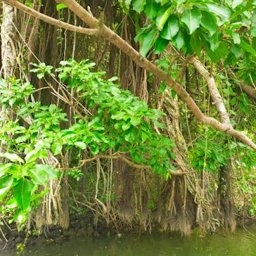 比謝川カヤックに投稿された画像（2022/10/14）