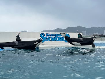 鴨川シーワールドに投稿された画像（2022/10/14）