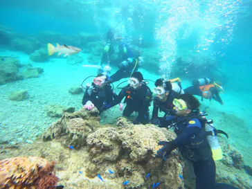 武藤潜水に投稿された画像（2022/10/14）