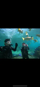 武藤潜水に投稿された画像（2022/10/14）