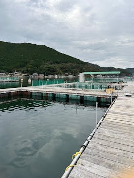 三重　紀北町　海・山こだわり市に投稿された画像（2022/10/14）