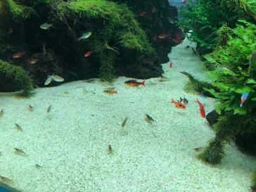 すみだ水族館に投稿された画像（2022/10/14）