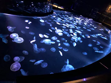 すみだ水族館に投稿された画像（2022/10/14）