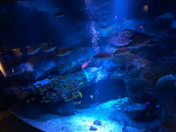 すみだ水族館に投稿された画像（2022/10/14）