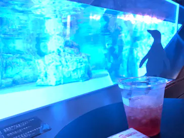 すみだ水族館に投稿された画像（2022/10/14）