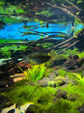 カワスイ 川崎⽔族館に投稿された画像（2022/10/14）