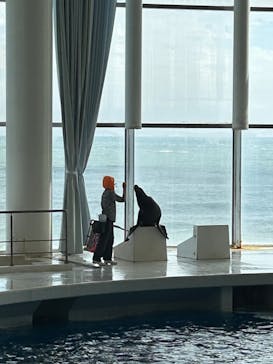 アクアワールド茨城県大洗水族館に投稿された画像（2022/10/14）