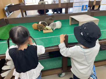 天王寺動物園に投稿された画像（2022/10/14）