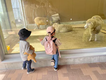 天王寺動物園に投稿された画像（2022/10/14）