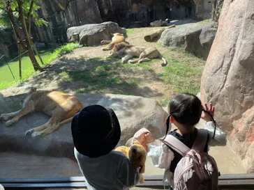 天王寺動物園に投稿された画像（2022/10/14）