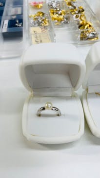 三重県真珠に投稿された画像（2022/10/14）