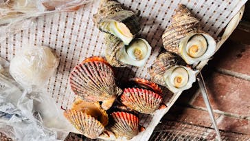 海女小屋 相差かまどに投稿された画像（2022/10/14）