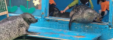 ゼロ距離水族館 伊勢シーパラダイスに投稿された画像（2022/10/14）