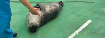 ゼロ距離水族館 伊勢シーパラダイスに投稿された画像（2022/10/14）