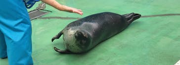 ゼロ距離水族館 伊勢シーパラダイスに投稿された画像（2022/10/14）