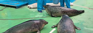 ゼロ距離水族館 伊勢シーパラダイスに投稿された画像（2022/10/14）