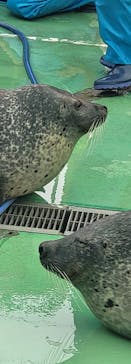 ゼロ距離水族館 伊勢シーパラダイスに投稿された画像（2022/10/14）